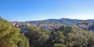 View at Marin Apartments Gallery 4