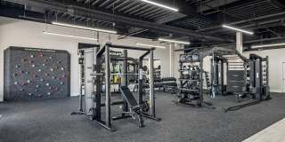 Villaggio Gallery 12