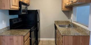 Ashford Apartments Gallery 16