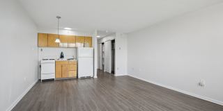 York North Gallery 11