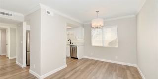 29135 Via Cerrito Gallery 11