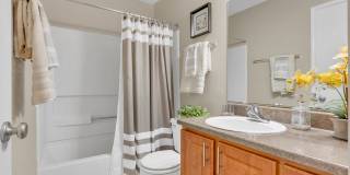 Turtle Lake Gallery 8