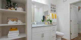 Altera Jacaranda Gallery 20