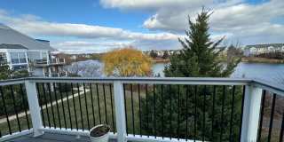 20594 CORNSTALK Terrace Gallery 1