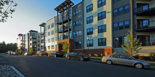 Excelsior Park Gallery 3