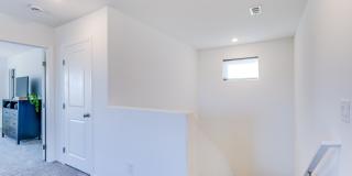 5215 Lissome Lily Court Gallery 21