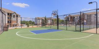 Orchard Park Gallery 21