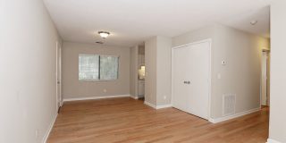 Forest Pointe Apartments Gallery 26