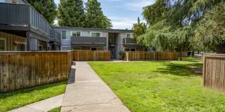 The Boardwalk Gallery 22