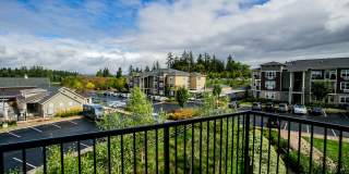 Kielo at Grass Valley Gallery 7