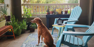 Stone Creek at Brookhaven Gallery 17