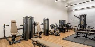 Avalon Cove Gallery 29