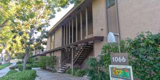 1066 San Pasqual St Apt 21 Gallery 2