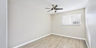 THE MODERN CACTUS Gallery 33