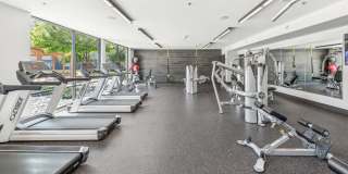 Terra at University North Park Gallery 22