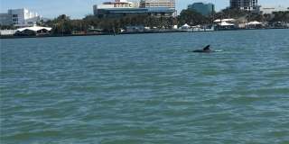 824 PADUA LANE Gallery 30