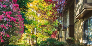 CityScape Apartments Gallery 23