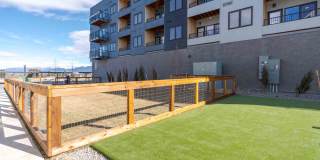 Highmark Bozeman Gallery 37