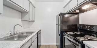 Waters at Westchase Gallery 50