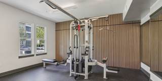 The Lotus at Starkey Ranch Gallery 34