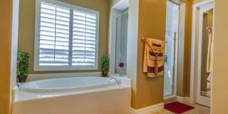 19244 Falabella Lane Gallery 1