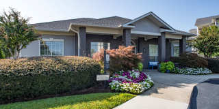 The Shallowford Gallery 37