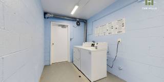 Mallow at The Hills Gallery 10