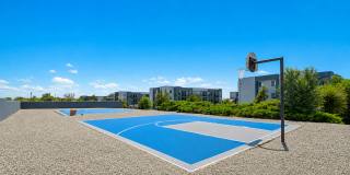 Vista Alegre Apartments Gallery 14