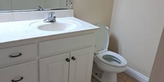 2934 Palmetto Ridge Way Gallery 22