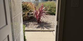 Beautiful 3 Bedroom, 1 Bathroom house Beautiful 3 Bedroom, 1 Bathroom house Gallery 8