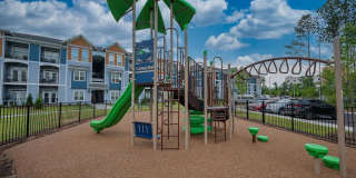 Hawthorne at Pine Forest Gallery 29