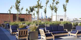 The Madelon Gallery 19