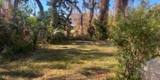 Bring your dog!  2 bedroom, 2 bath, Single family home in South Venice Gallery 33