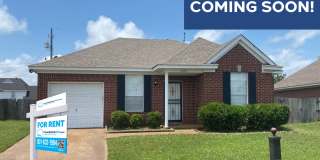 3923 Autumn Harvest Lane Gallery 1