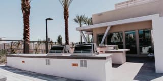 Tanager Tanager Gallery 12