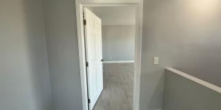 NewB SDS T 3634 Gallery 25