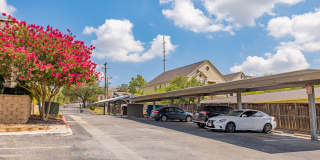 Silver Creek Gallery 42