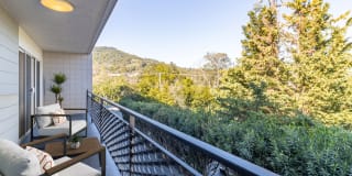 El Gato Penthouse Gallery 13