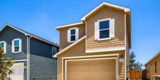 4519 GATO CALICO DR Gallery 2