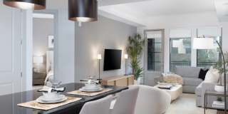 AVE Paradise Valley Gallery 8