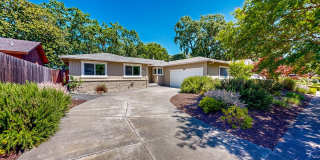 Rincon Valley Single Level, Landscaper Included! Rincon Valley Single Level, Landscaper Included! Gallery 1