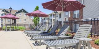 Mallard Glen Gallery 11