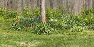 729 LUCKYSTONE AVENUE | SAINT LOUIS 63122 Gallery 28