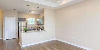 Fountain Lake Bradenton Gallery 32