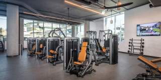 Adeline Luxury Living Gallery 20