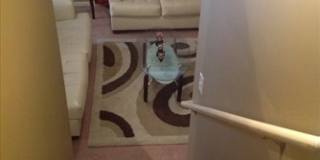 Quality Home Management Gallery 10