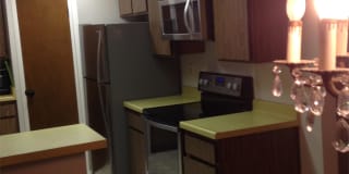 235 Lobeiro, #101 Gallery 3