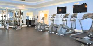 Alexandria Park Gallery 17