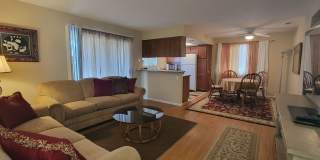FURNISHED 2 bedroom Condo Gallery 1