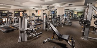 Mira Bella Apartments San Diego Gallery 13